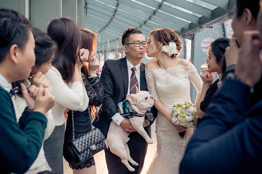 Apple婚禮攝影 Wedding婚禮記錄 大熊婚禮攝影 