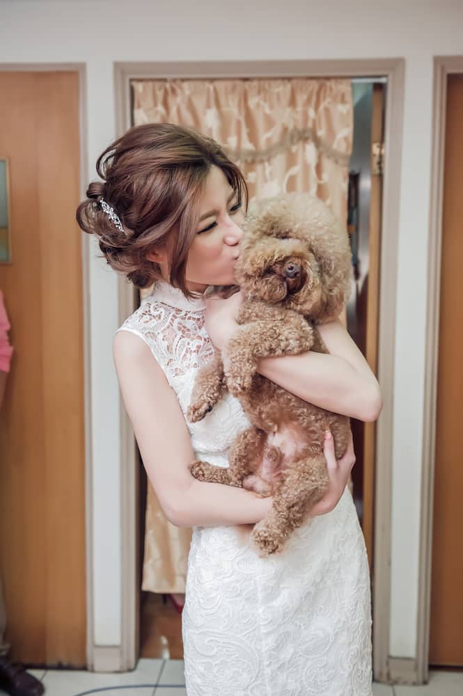 Bo婚禮紀實作品 Wedding婚禮記錄 