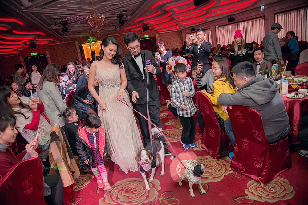Wedding婚禮記錄 大熊婚禮攝影 