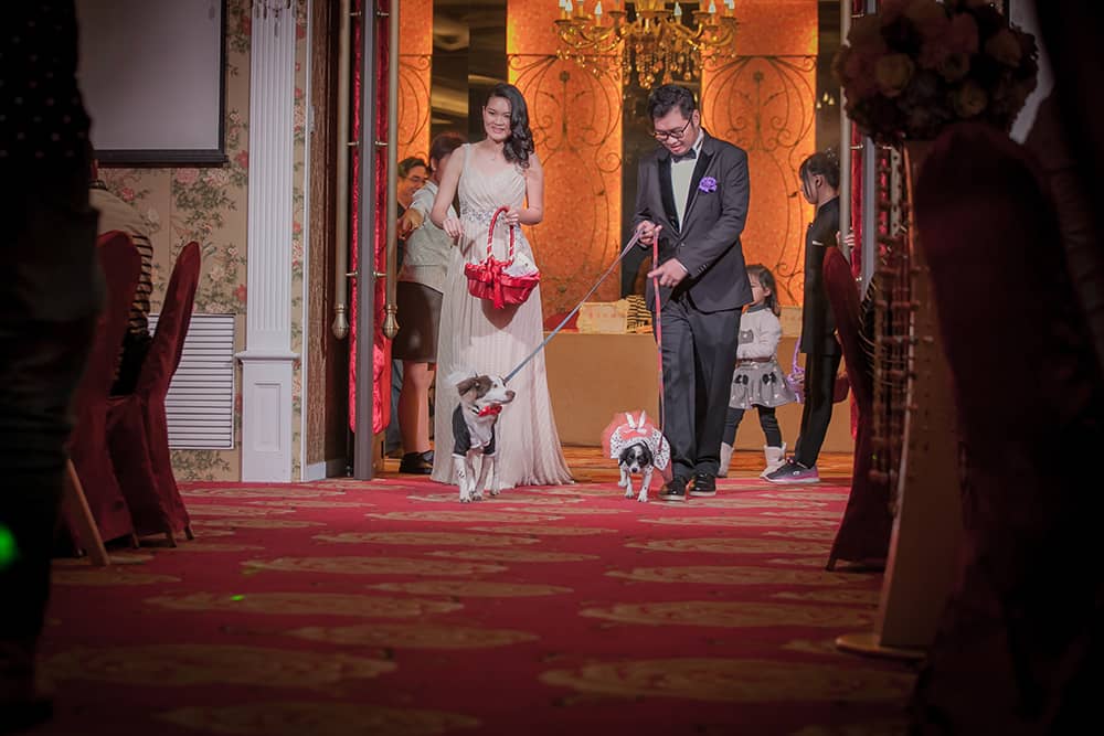 Wedding婚禮記錄 大熊婚禮攝影 