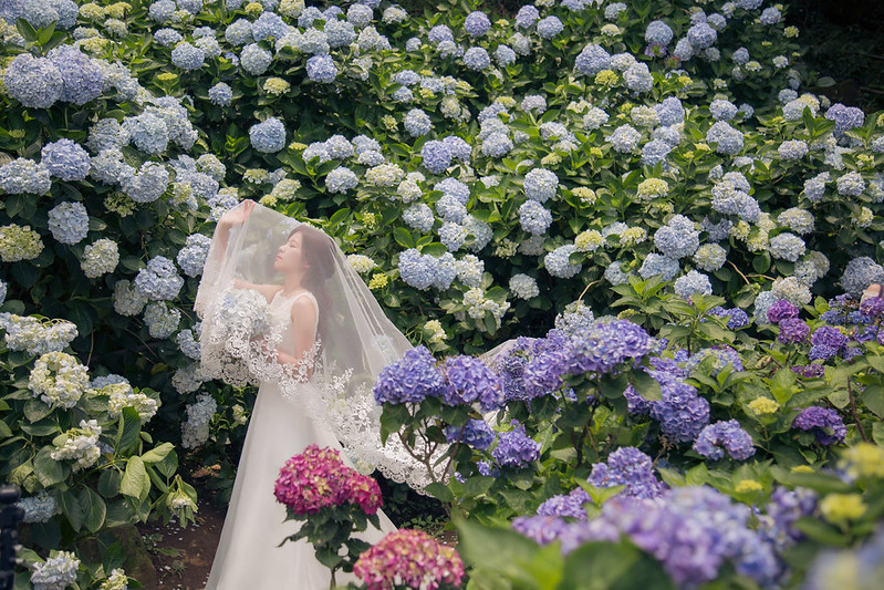 Pre-wedding自助婚紗 大熊自助婚紗 
