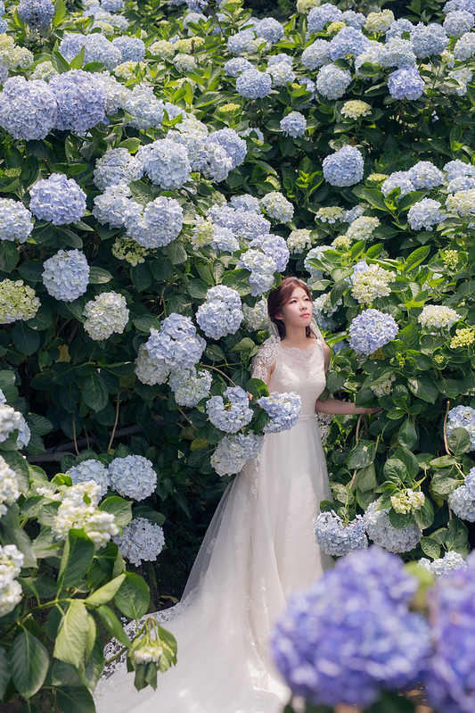 Pre-wedding自助婚紗 大熊自助婚紗 