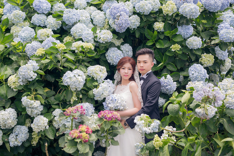 Pre-wedding自助婚紗 大熊自助婚紗 