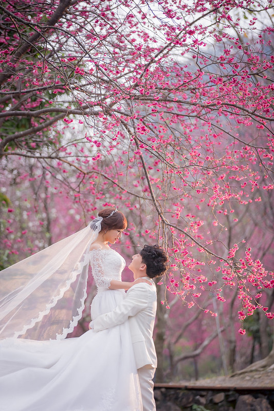 Pre-wedding自助婚紗 大熊自助婚紗 