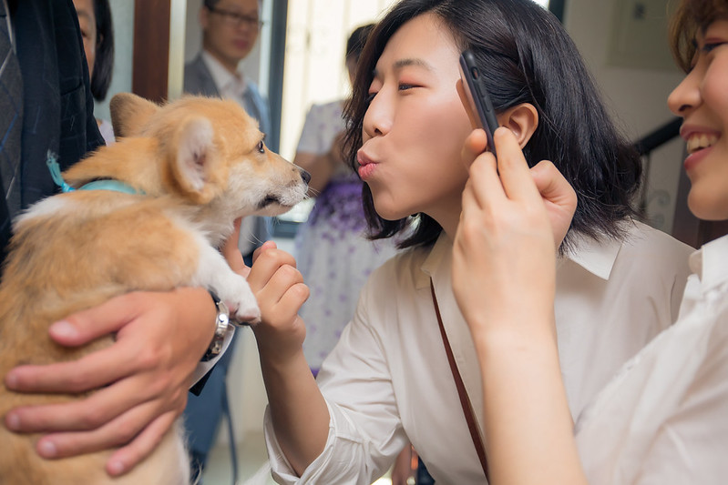 Apple婚禮攝影 Wedding婚禮記錄 Zhuang婚禮攝影 