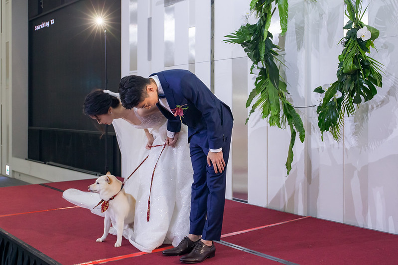 Apple婚禮攝影 Wedding婚禮記錄 Zhuang婚禮攝影 