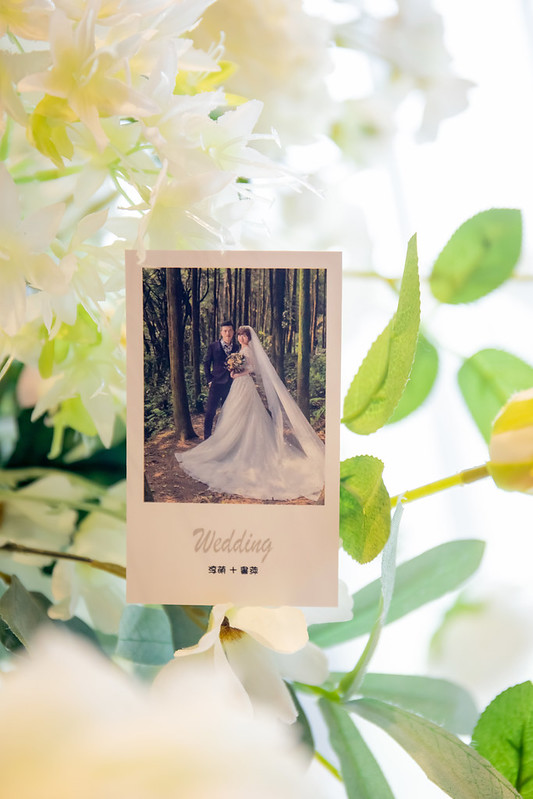 Apple婚禮攝影 Wedding婚禮記錄 大熊婚禮攝影 