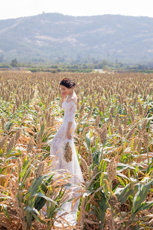 Pre-wedding自助婚紗 大熊自助婚紗 