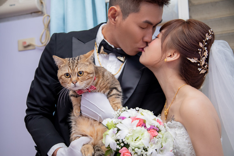 Apple婚禮攝影 Wedding婚禮記錄 