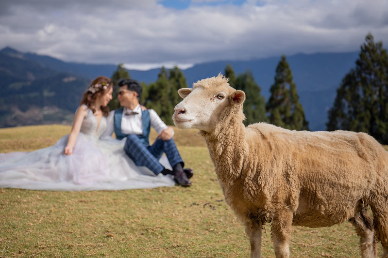 Pre-wedding自助婚紗 