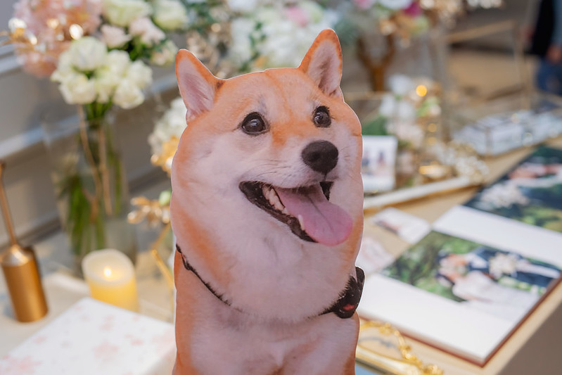 Wedding婚禮記錄 台北婚攝 大熊婚禮攝影 翡麗詩莊園婚禮 
