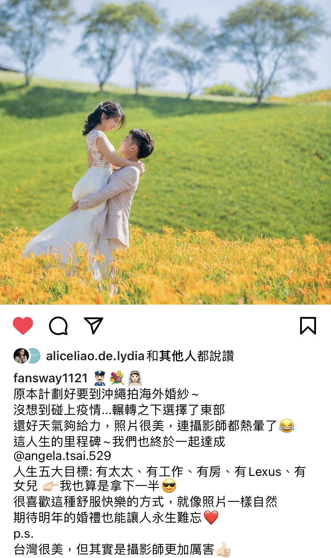 Feedback新人推薦 