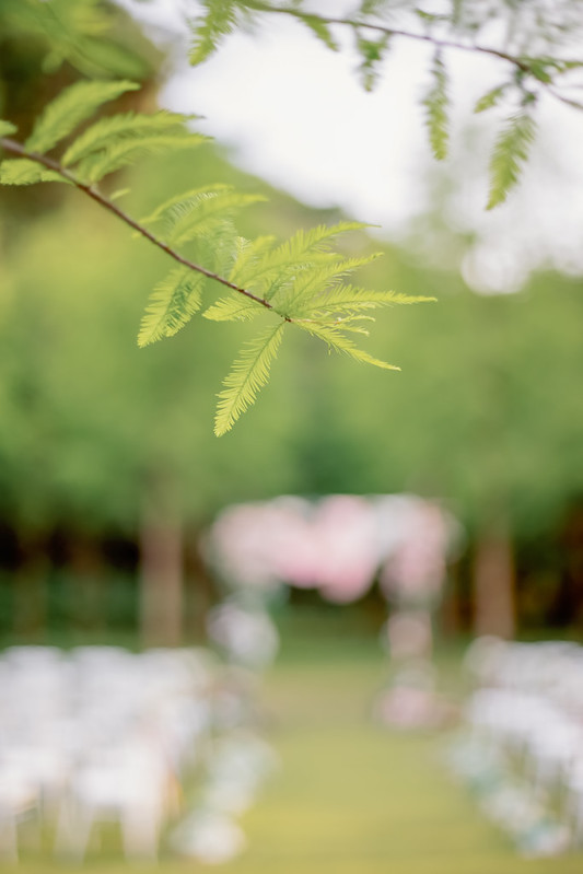 Apple婚禮攝影 Wedding婚禮記錄 