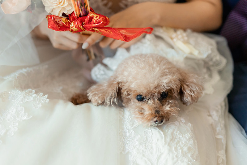 Wedding婚禮記錄 台北婚攝 大熊婚禮攝影 