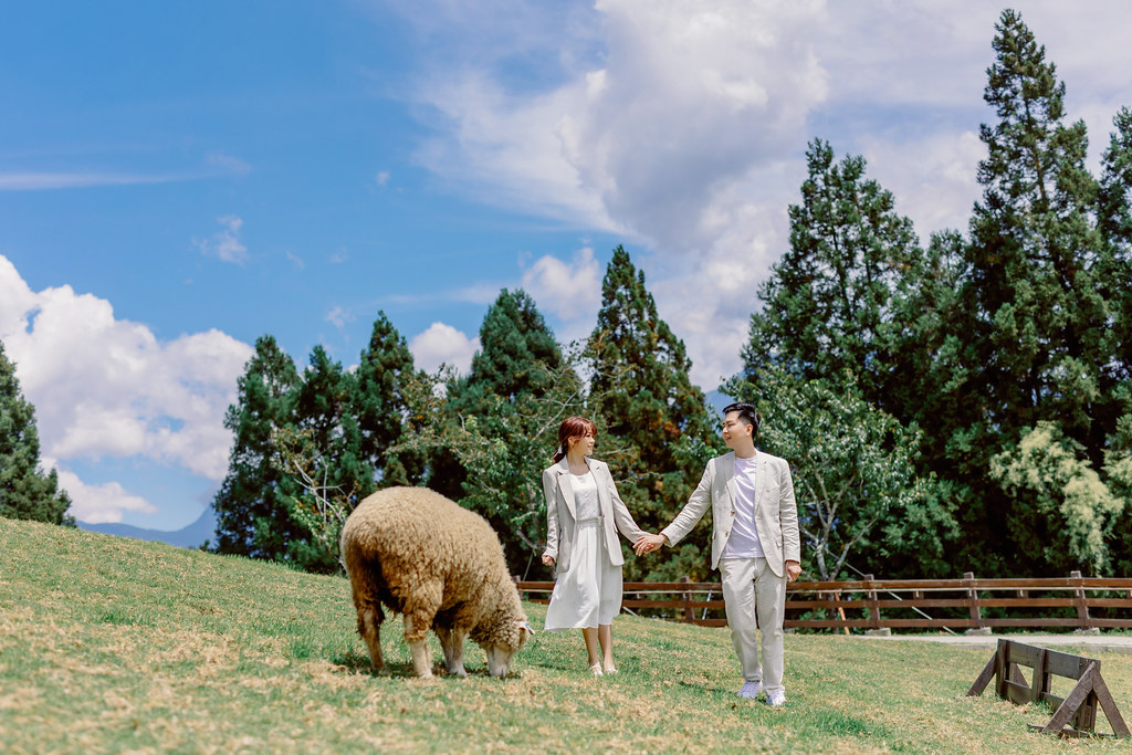 Pre-wedding自助婚紗 大熊自助婚紗 