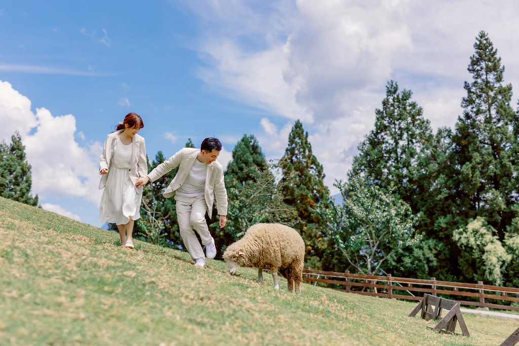 Pre-wedding自助婚紗 大熊自助婚紗 