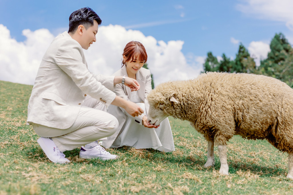 Pre-wedding自助婚紗 大熊自助婚紗 