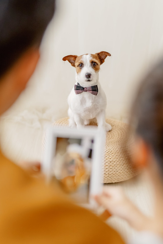 Pre-wedding自助婚紗 台北婚紗外拍景點推薦 大熊自助婚紗 婚紗攝影包套 
