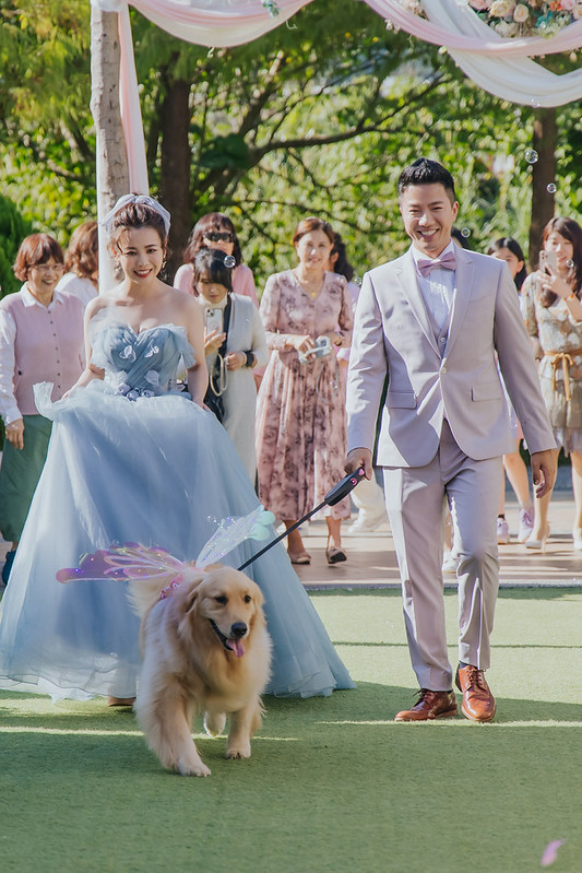 Wedding婚禮記錄 台北婚攝 熱門攝影師 