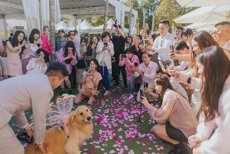 Wedding婚禮記錄 台北婚攝 熱門攝影師 