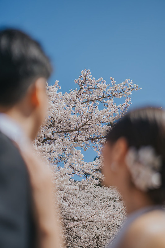 Pre-wedding自助婚紗 富士山婚紗攝影 旅拍蜜月婚紗 