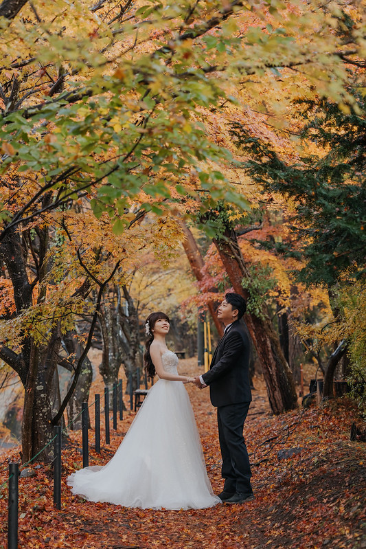 富士山婚紗攝影 旅拍蜜月婚紗 海外婚紗婚禮攝影推薦 海外婚紗攝影 